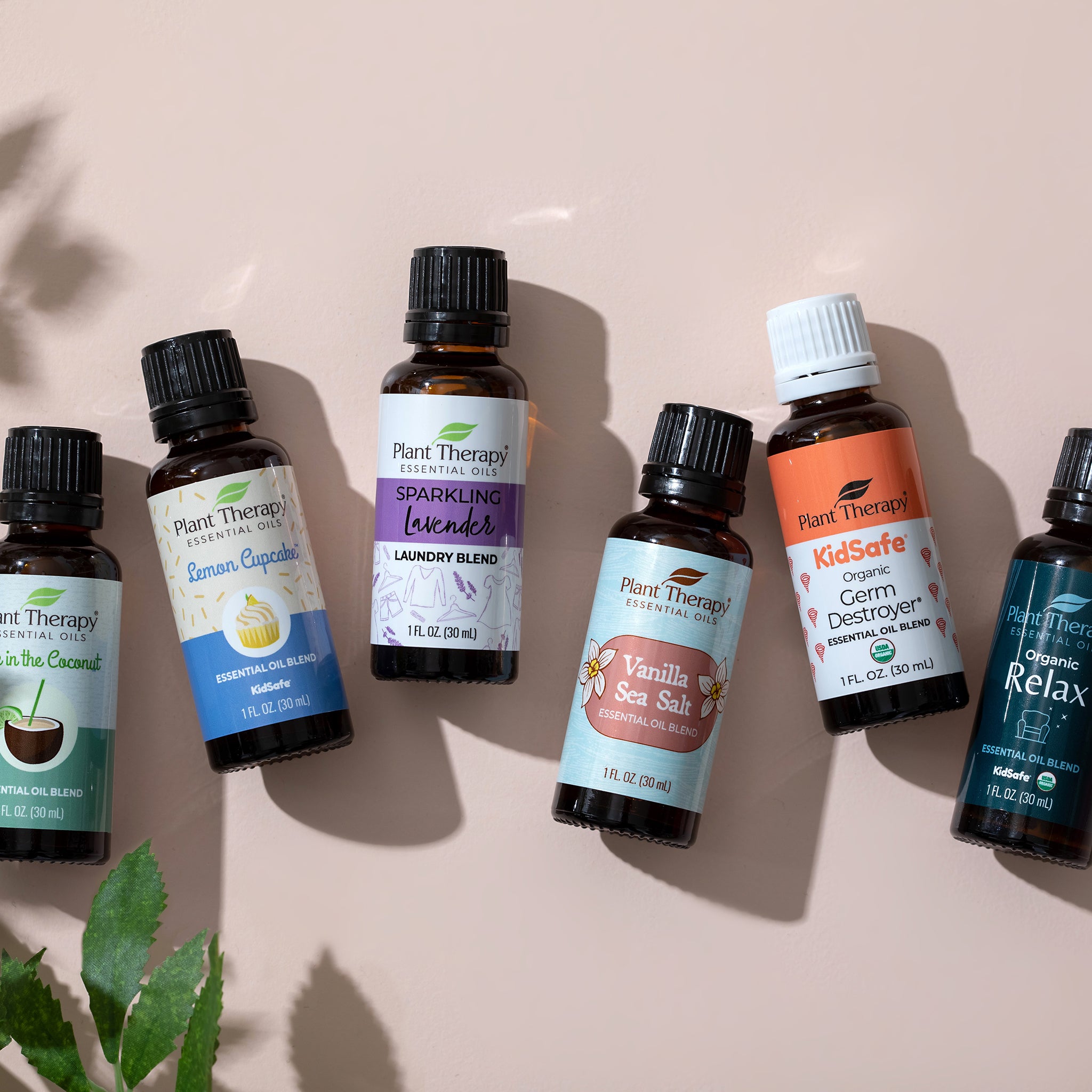 Plant Therapy Essential Oil Blends - Nature's Best Aromatherapy