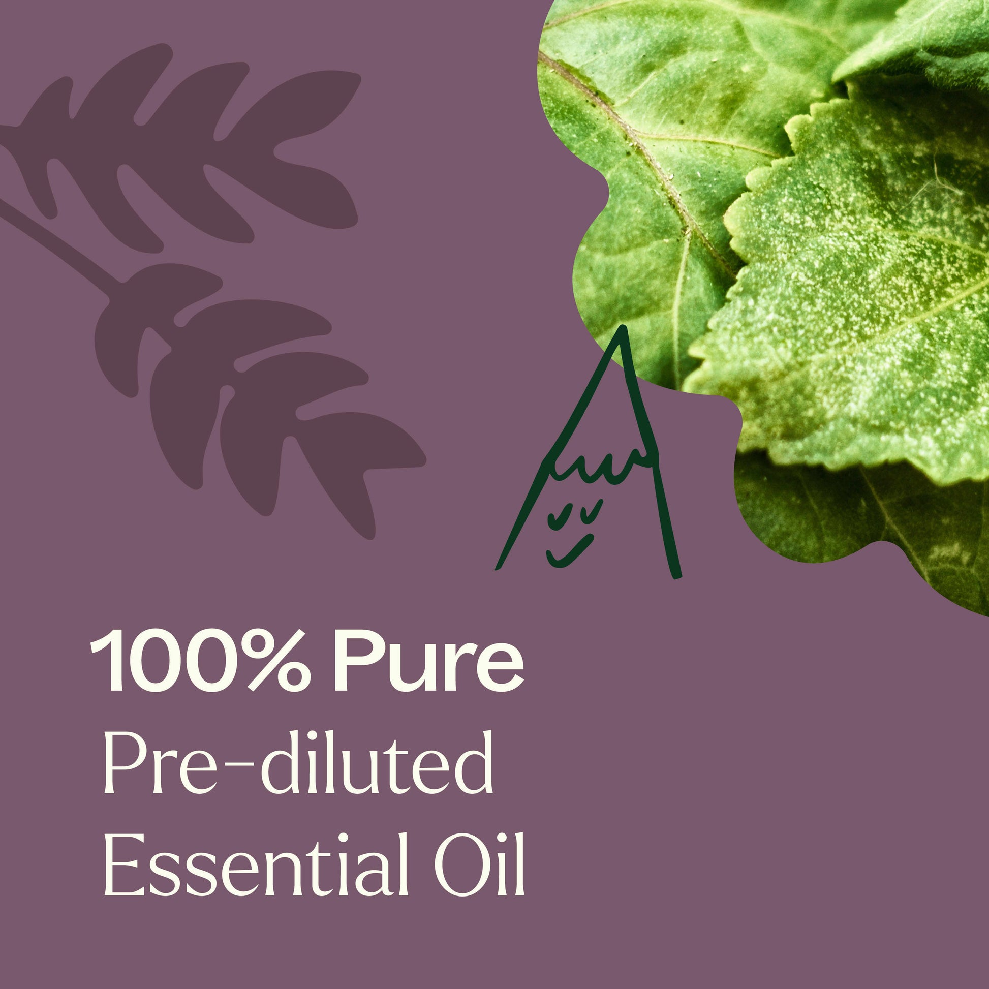 100% Pure Pre-diluted Essential Oil