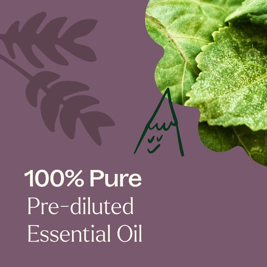 100% Pure Pre-diluted Essential Oil