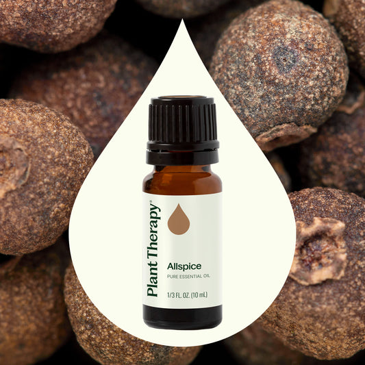 Allspice Essential Oil