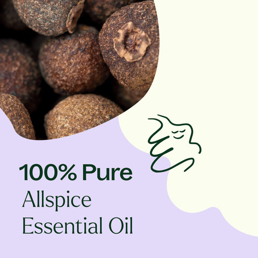 Allspice Essential Oil