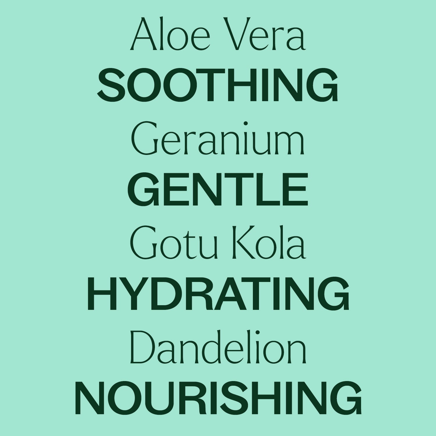 Aloe Vera Jelly Unscented