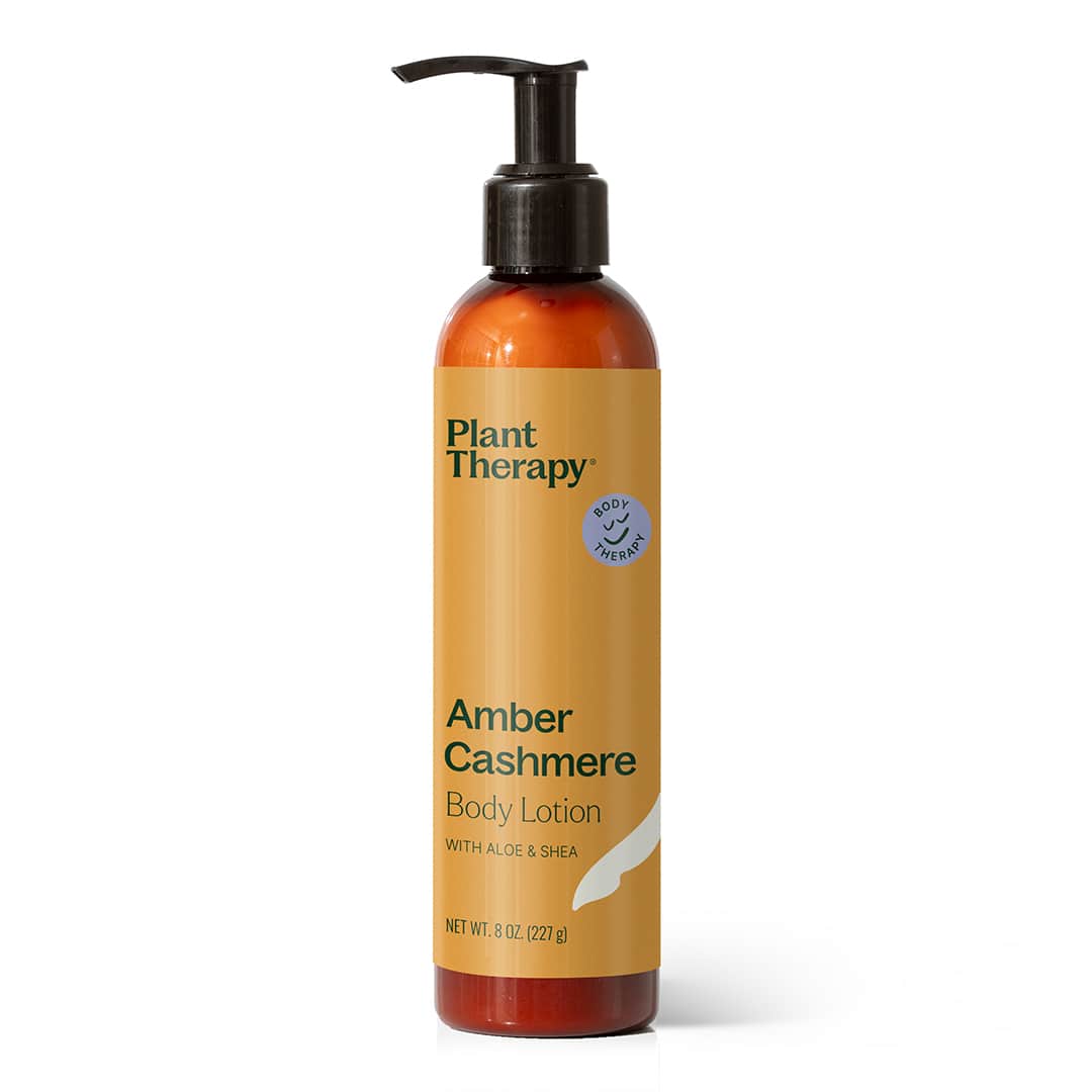 food lion aloe vera plant Amber Cashmere Body Lotion with Aloe and Shea