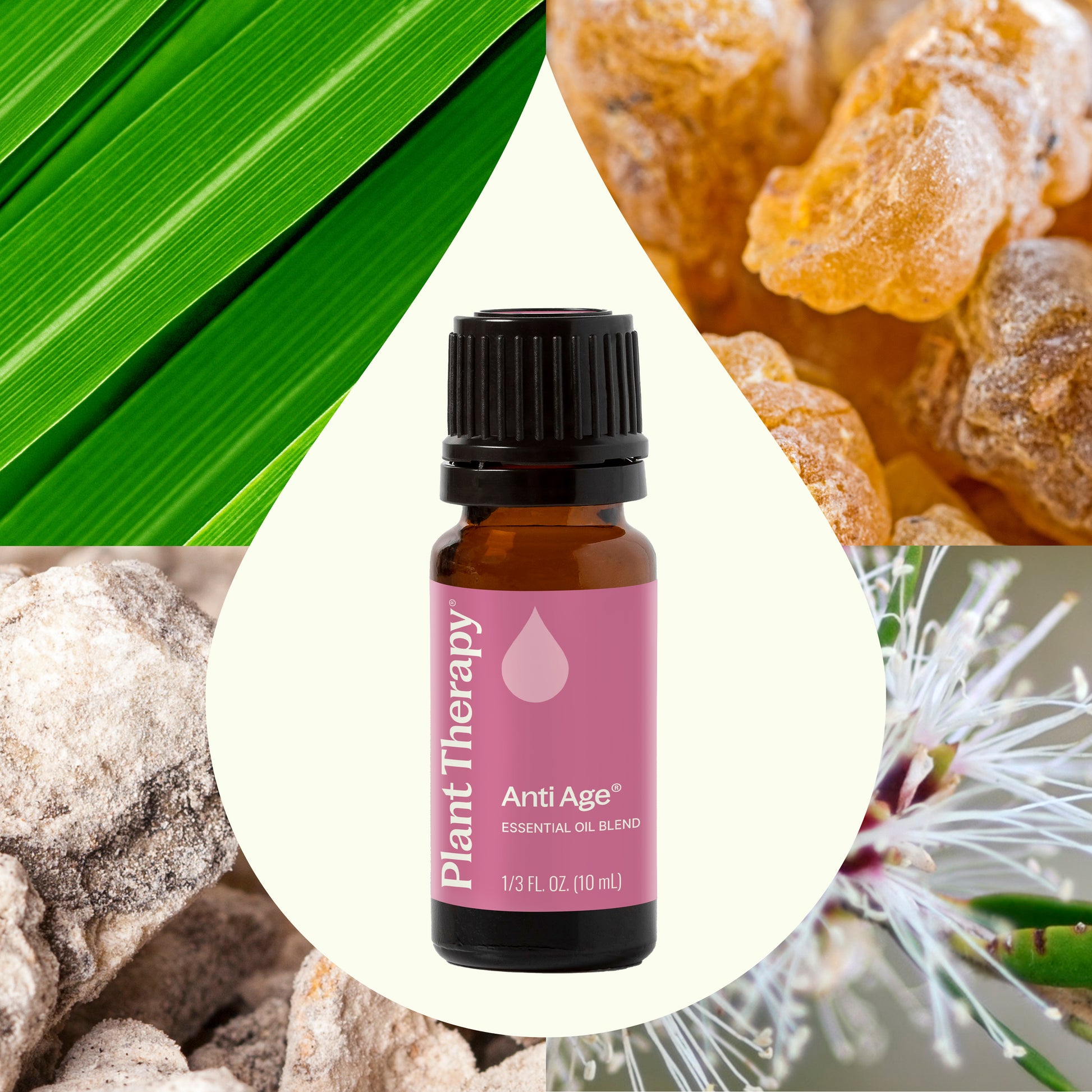 Anti Age Essential Oil Blend