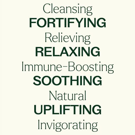 Aroma Flight 10 Count Set