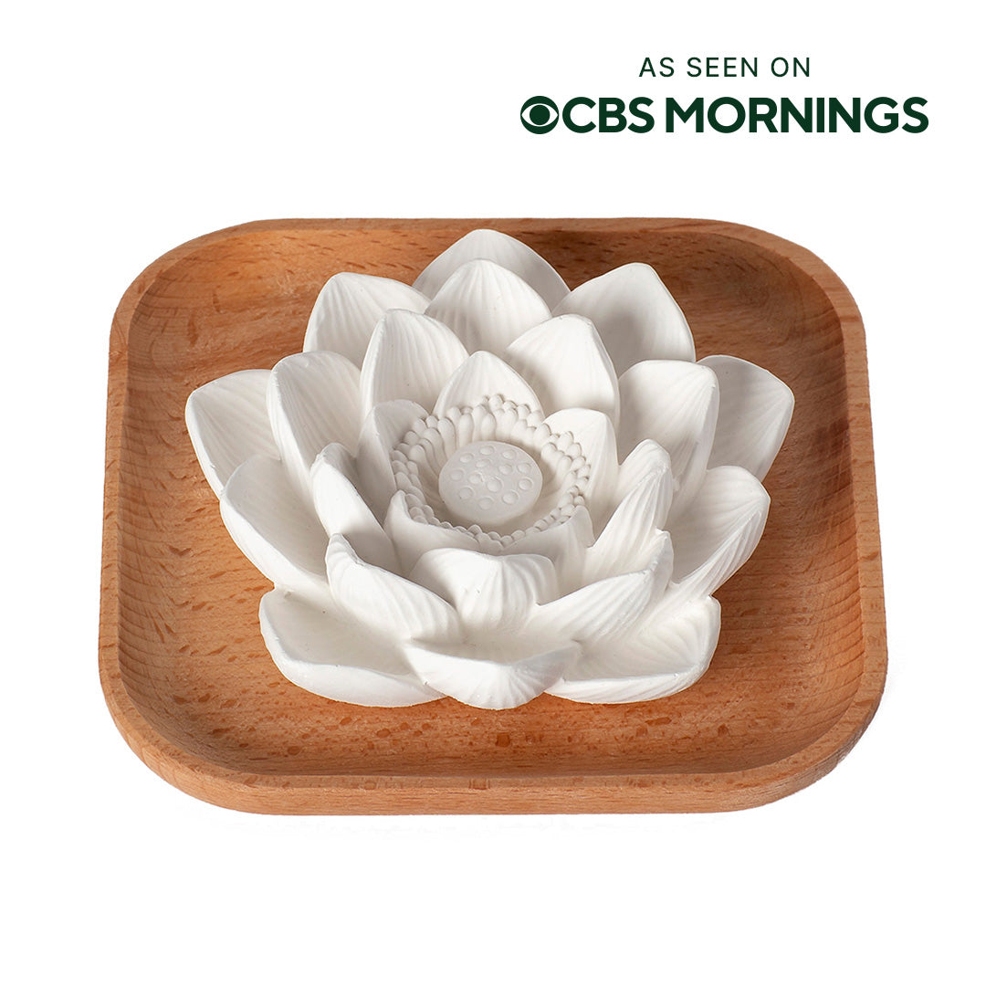 Passive Lotus Diffuser – Plant Therapy