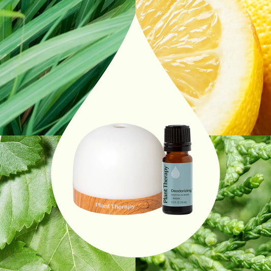 FREE GIFT: Beginner Diffuser and Best-Selling Blend