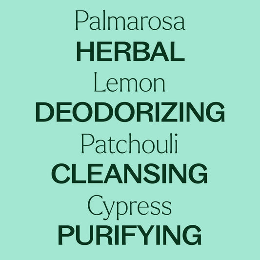 FREE GIFT: Beginner Diffuser and Best-Selling Blend