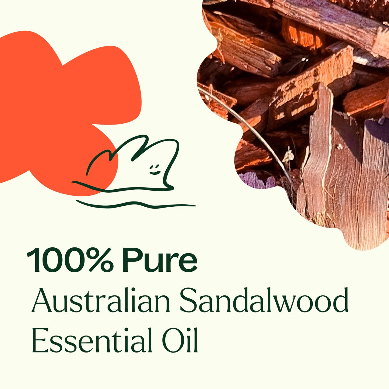 Australian Sandalwood Essential Oil is 100% pure 