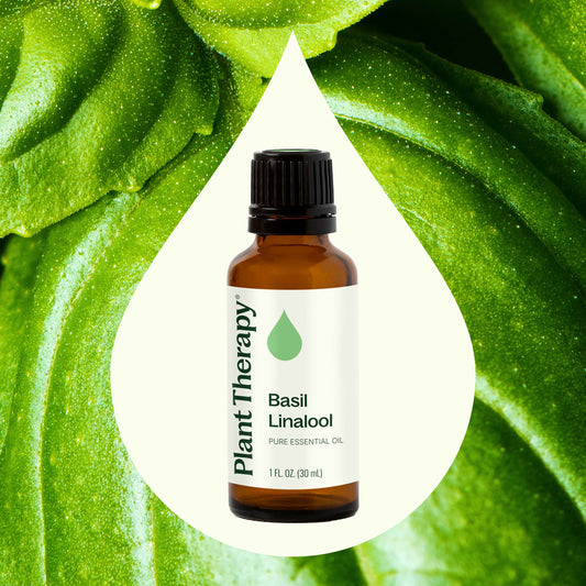 Basil Linalool Essential Oil