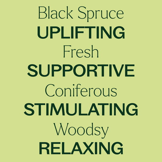 Black Spruce Essential Oil