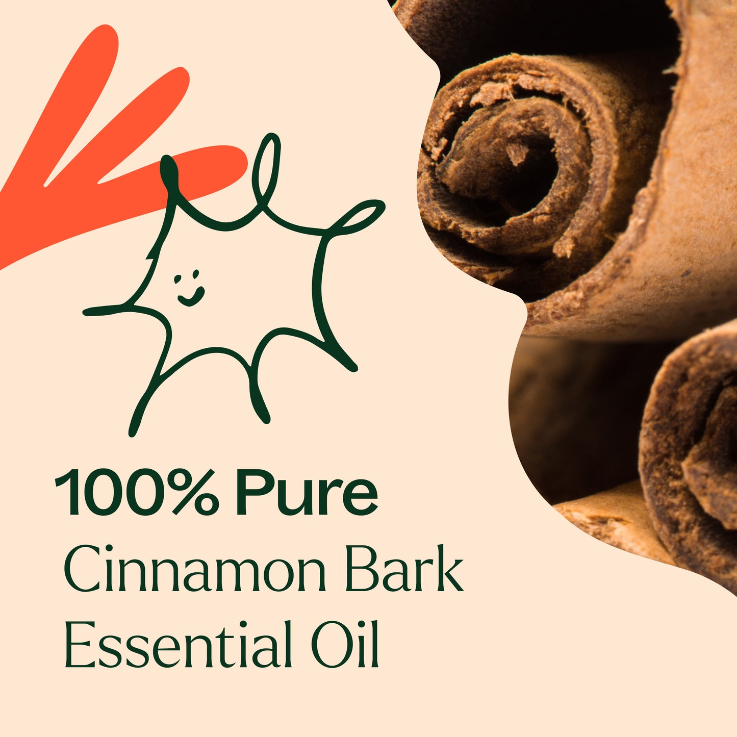 100% pure Cinnamon Bark Essential Oil