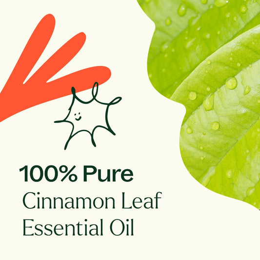Cinnamon Leaf Essential Oil