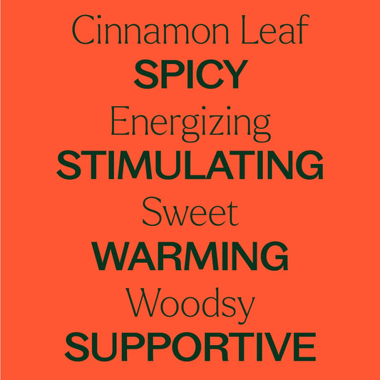 Cinnamon Leaf Essential Oil