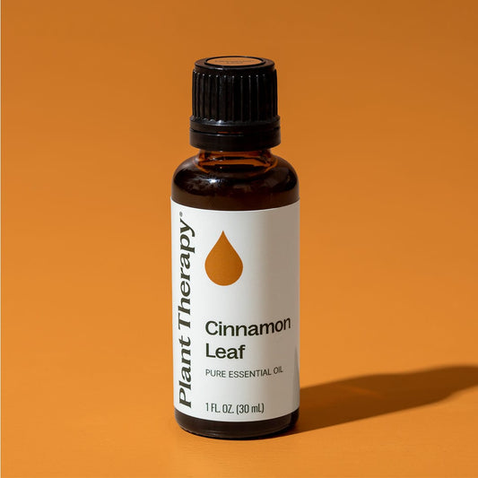 Cinnamon Leaf Essential Oil
