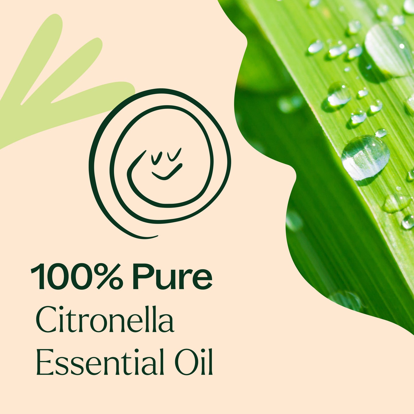 100% pure Citronella Essential Oil