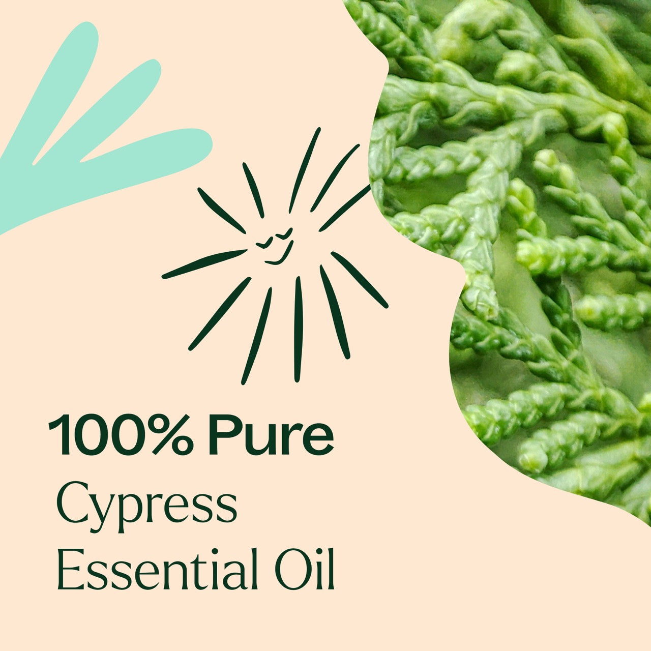 100% pure Cypress Essential Oil