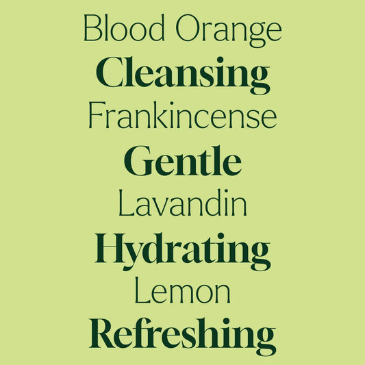 Foaming Hand Soap Duo: Defender + Foaming Bottle