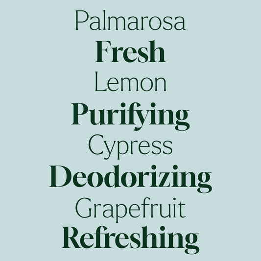 Deodorizing Powder
