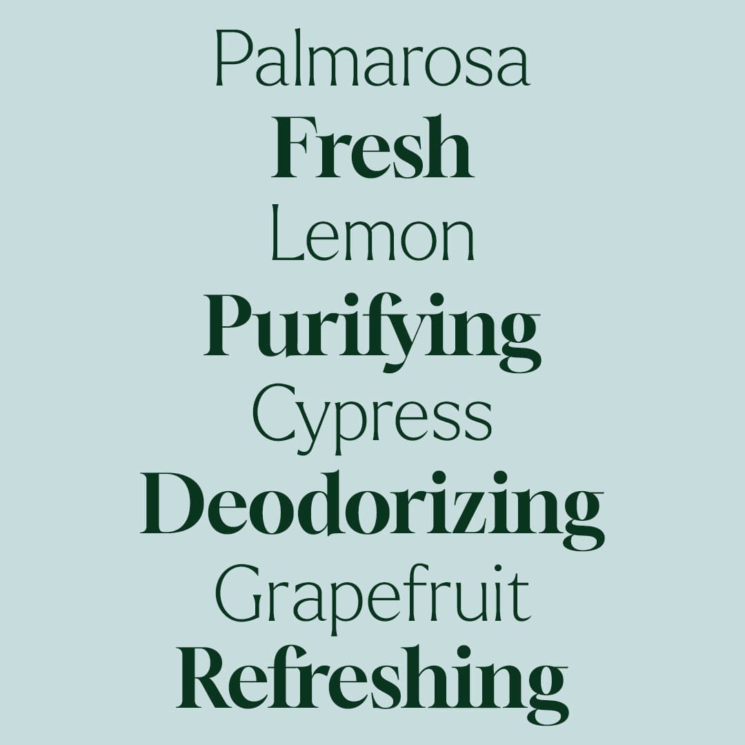 Deodorizing Trio