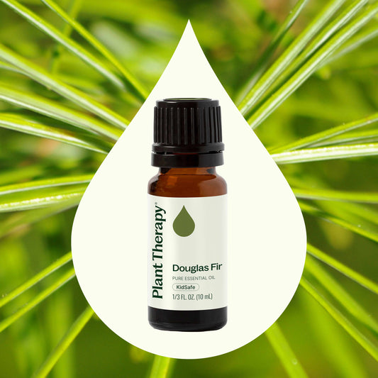 Douglas Fir Essential Oil