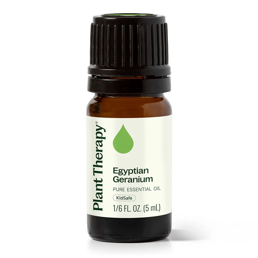 Egyptian Geranium Essential Oil – Plant Therapy