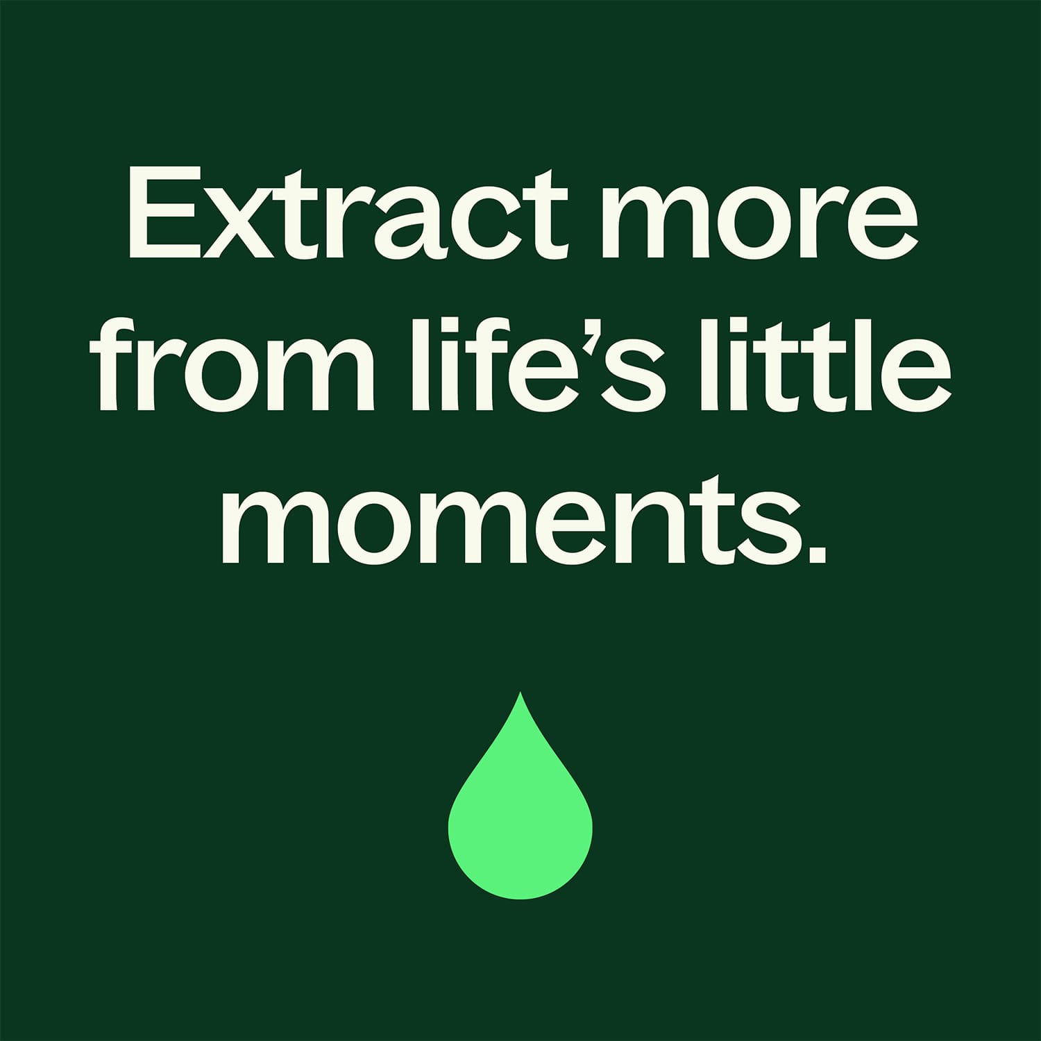Eucalyptus Dives Essential Oil