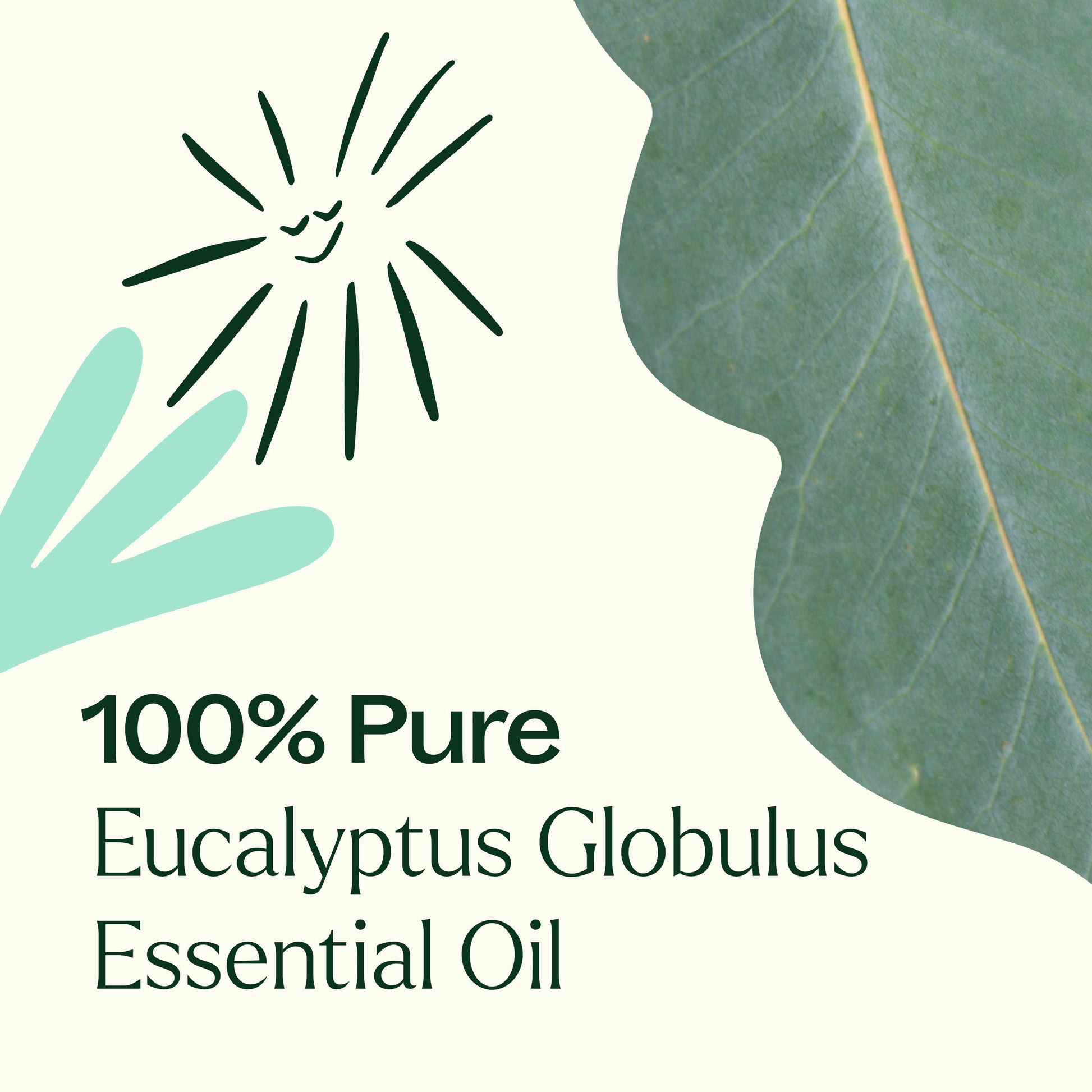 Eucalyptus Globulus Essential Oil Pre-Diluted Roll-On