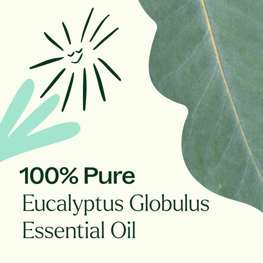 Eucalyptus Globulus Essential Oil Pre-Diluted Roll-On