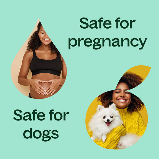 Eucalyptus Radiata Essential Oil