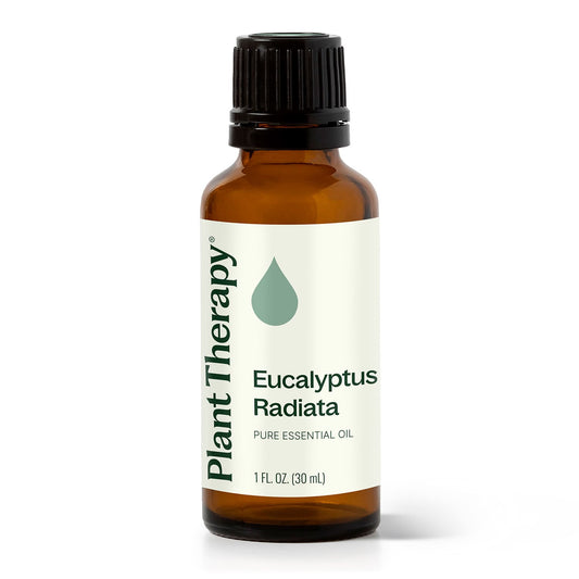 Eucalyptus Radiata Essential Oil