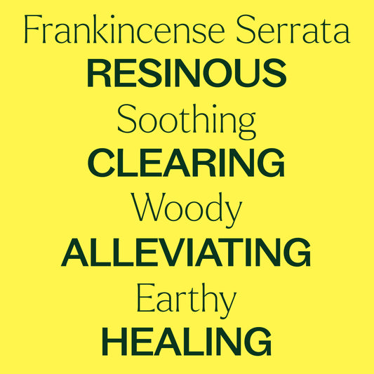 Frankincense Serrata Essential Oil key features: resinous, soothing, clearing, woody, alleviating, earthy, healing