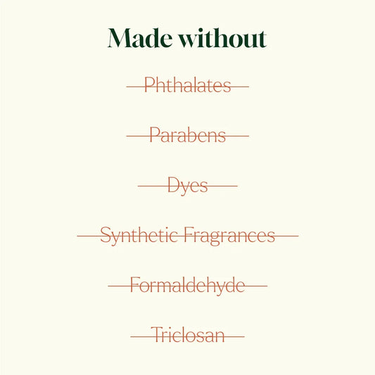 Foaming Hand Soap Duo: Germ Fighter + Foaming Bottle