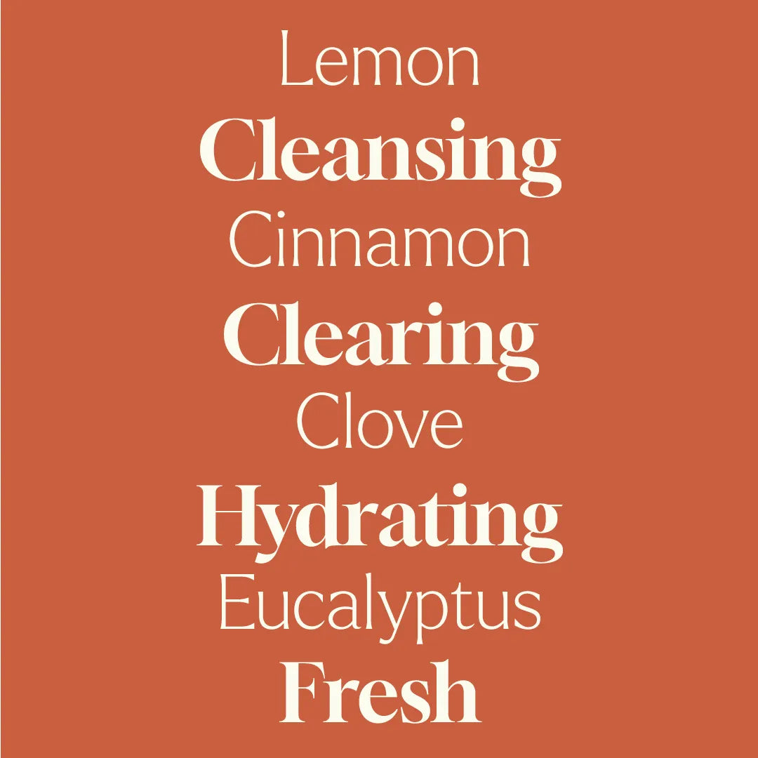 Foaming Hand Soap Duo: Germ Fighter + Foaming Bottle