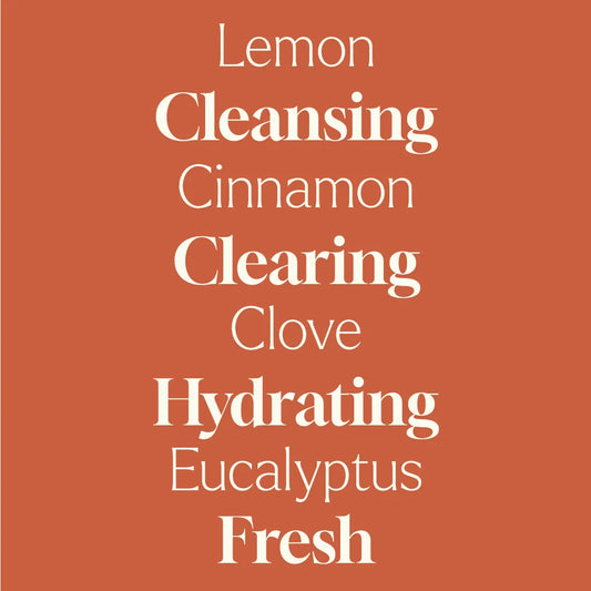 Foaming Hand Soap Duo: Germ Fighter + Foaming Bottle