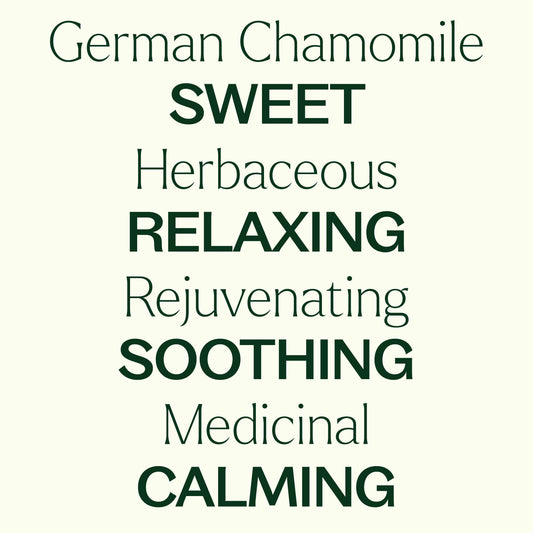 German Chamomile Essential Oil