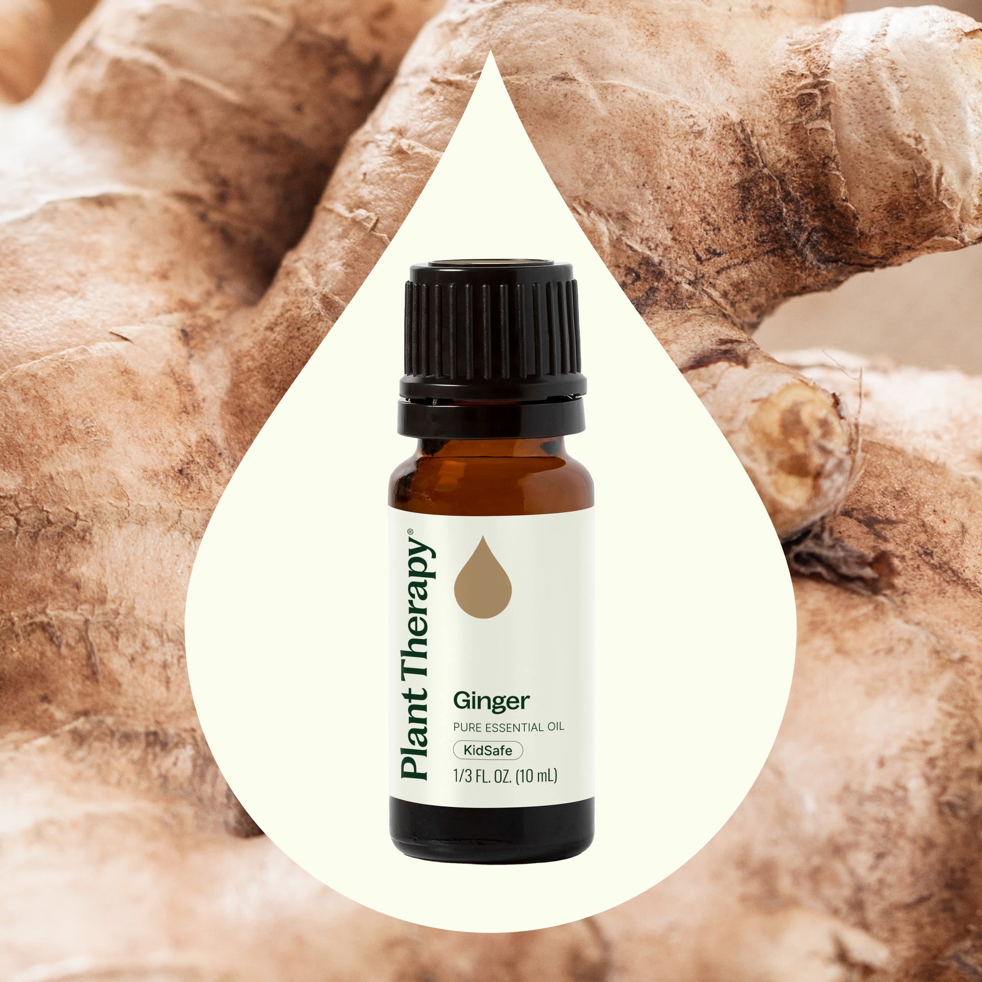 Ginger Essential Oil