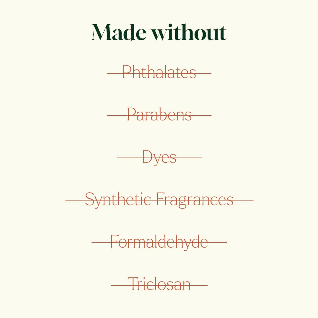 Foaming Hand Soap Duo: Holiday Season + Foaming Bottle
