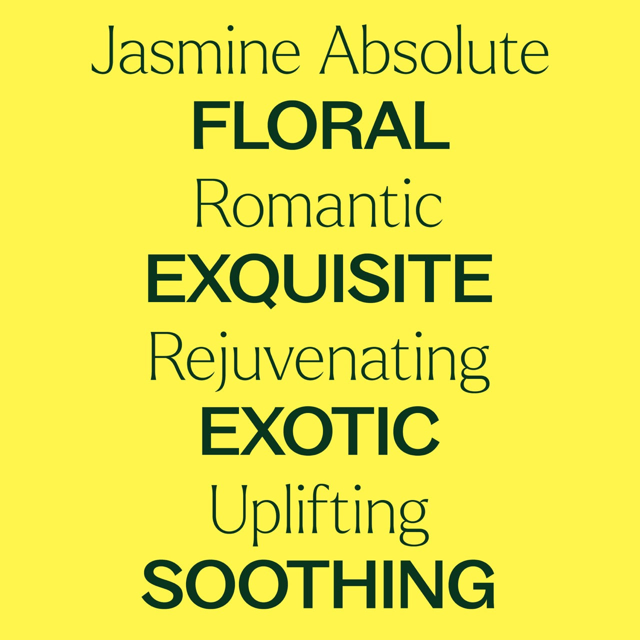 Jasmine Absolute key features: floral, romantic, exquisite, rejuvenating, exotic, uplifting, soothing