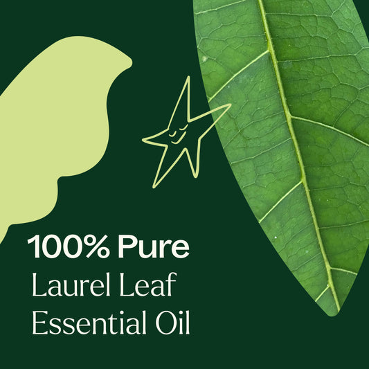 Laurel Leaf Essential Oil
