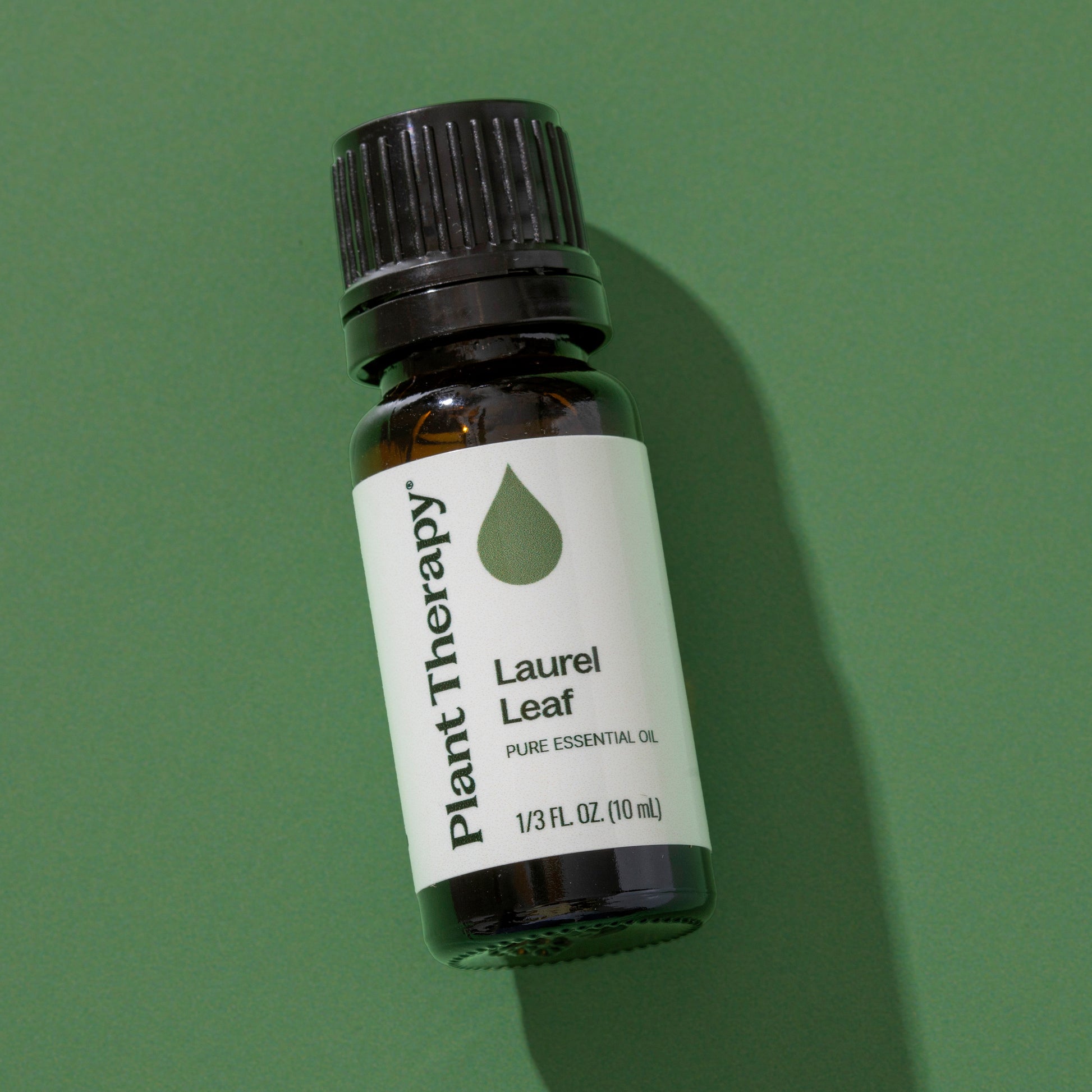 Laurel Leaf Essential Oil