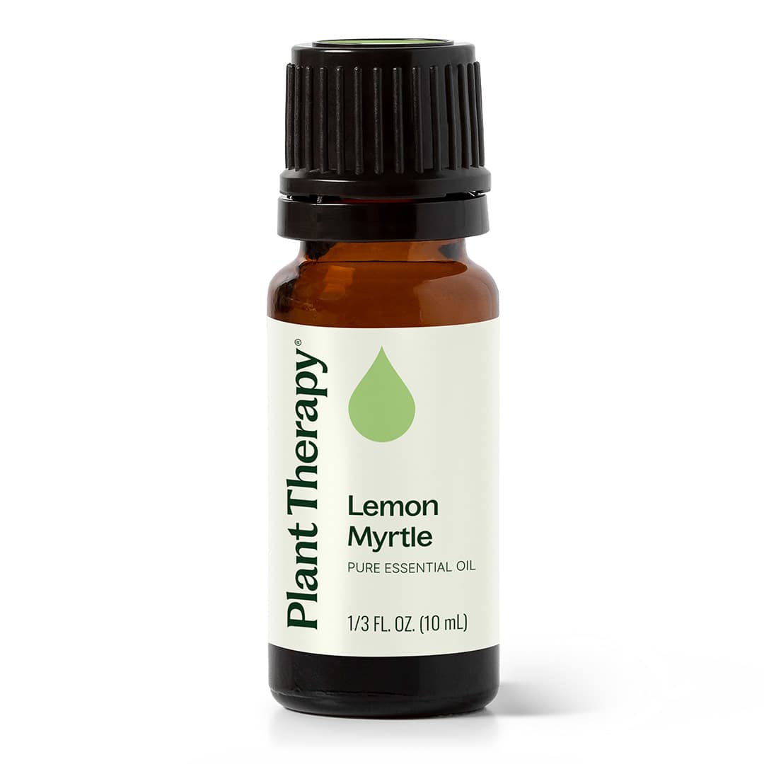 Lemon Myrtle Essential Oil – Plant Therapy