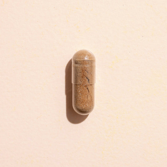 Lion's Mane Herbal Supplement Capsules