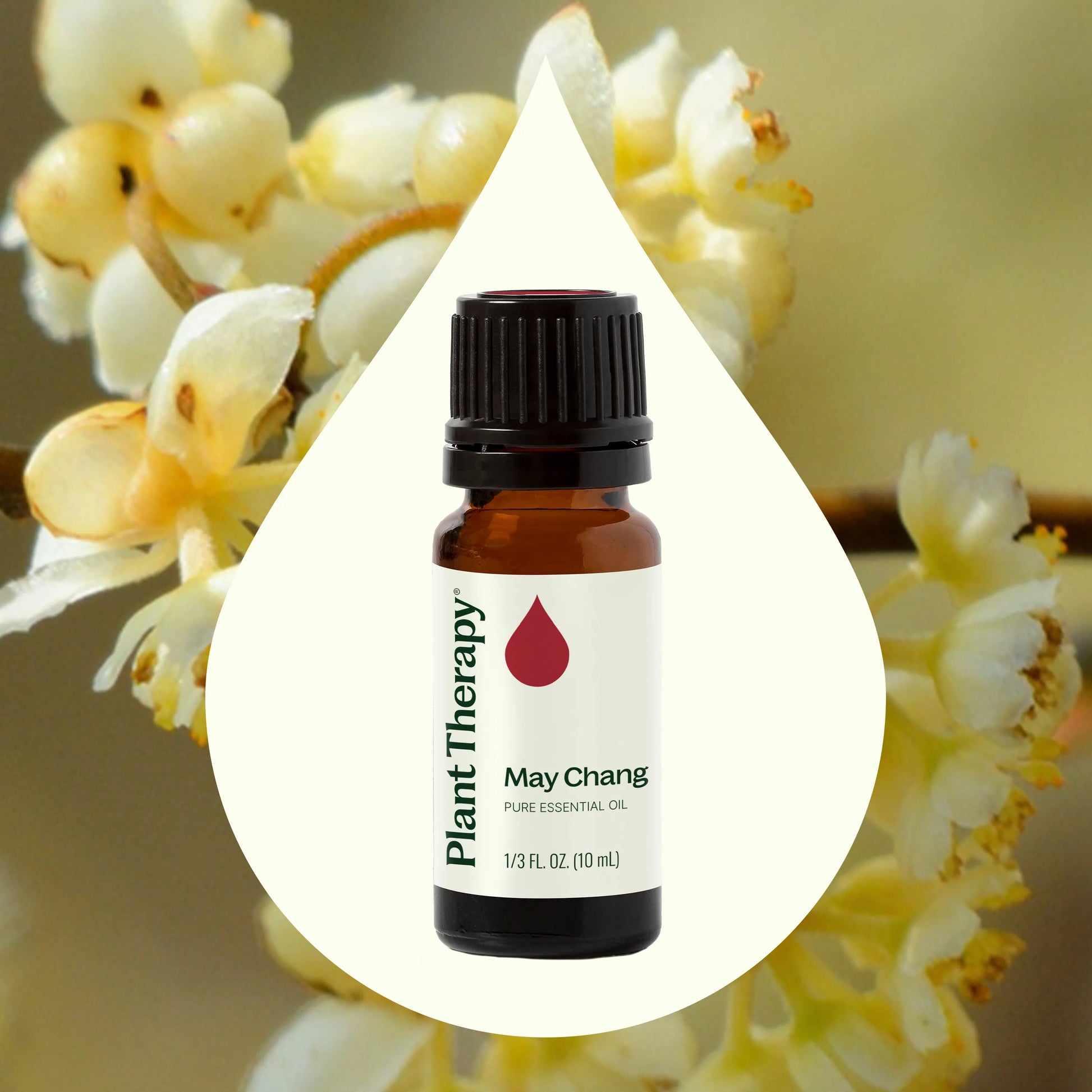 May Chang Essential Oil