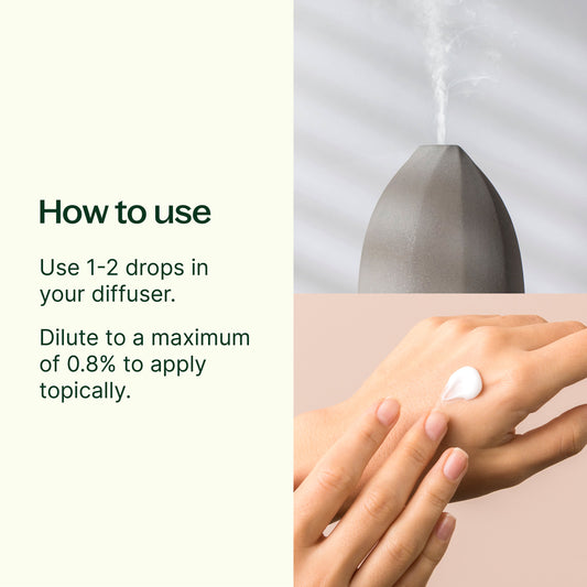 Nutmeg Essential Oil