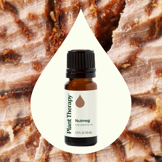 Nutmeg Essential Oil