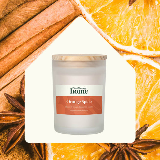 Orange Spice Naturally Scented Candle