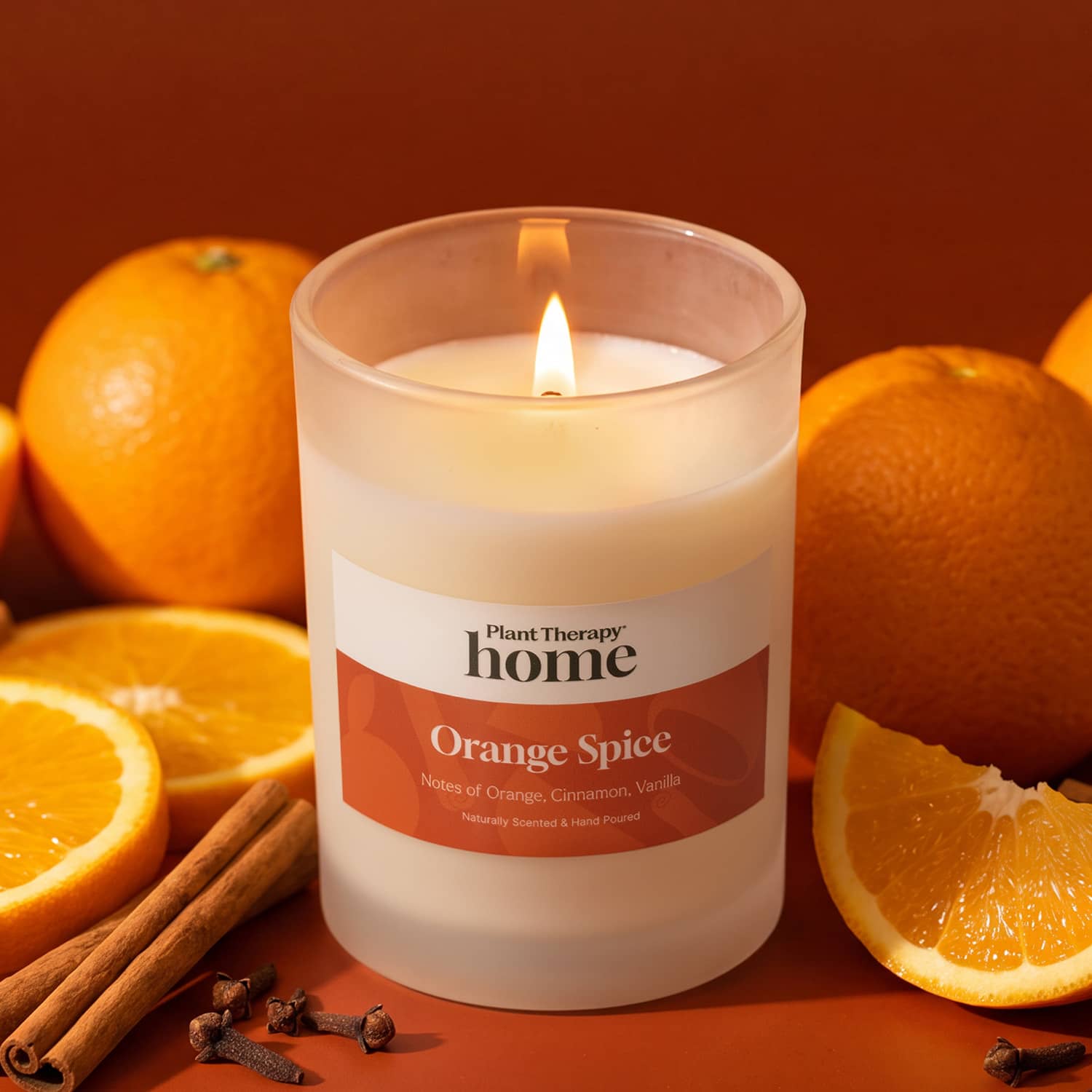 Orange Spice Naturally Scented Candle