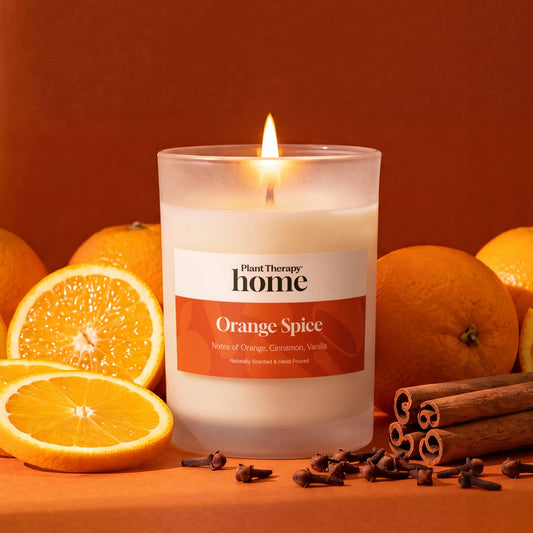 Orange Spice Naturally Scented Candle