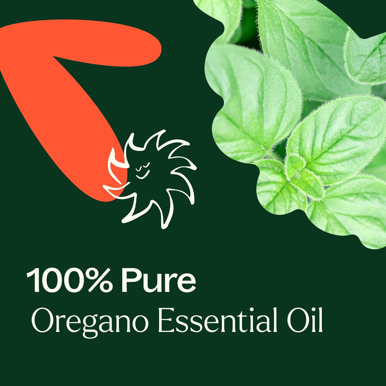 100% pure Oregano Essential Oil